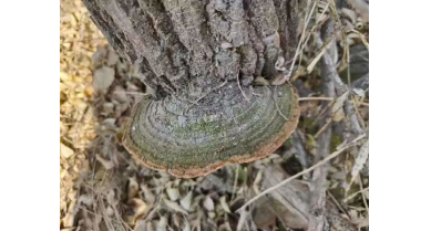 行業(yè)動態(tài)